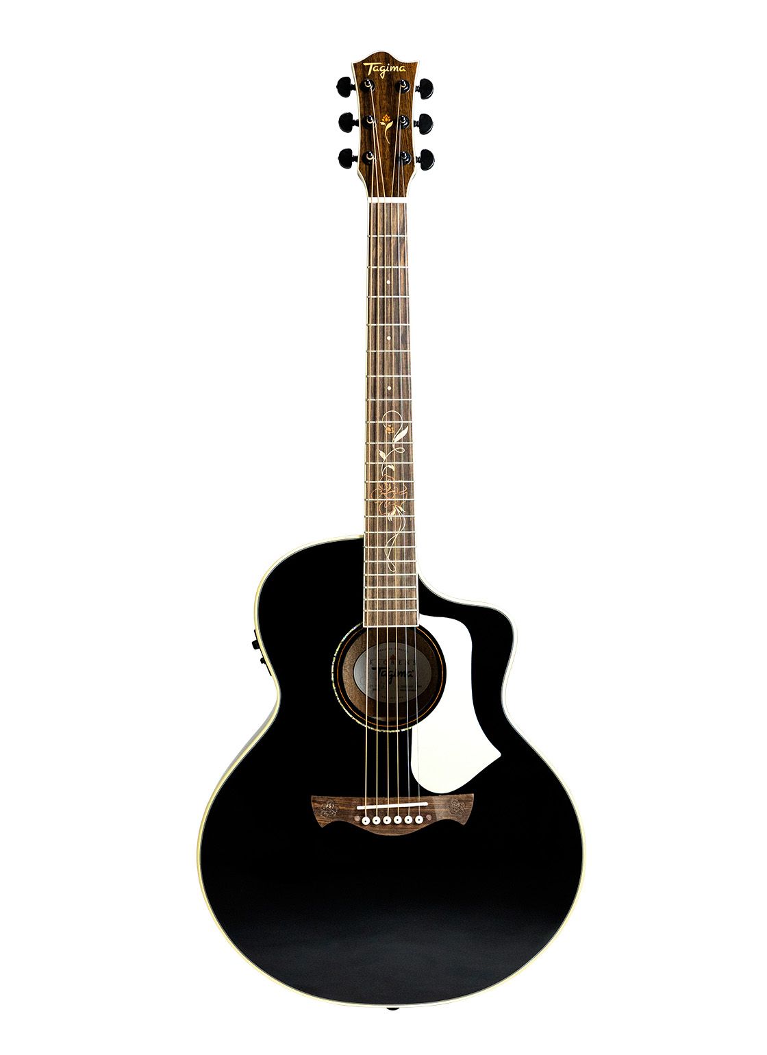 Acoustic Guitars